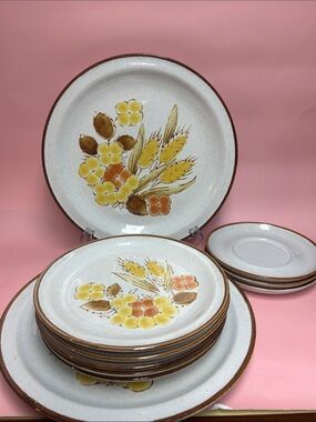 Vintage International China Stoneybrook Rushwood dinnerware 10 pcs